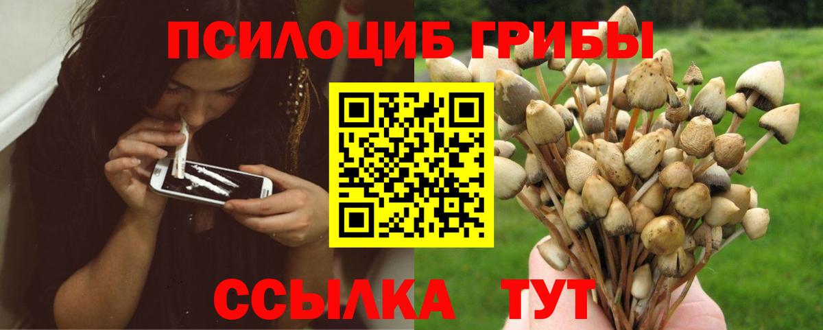 Галлюциногенные грибы GOLDEN TEACHER  Вход с VPN  даркнет сайт  Ялуторовск 